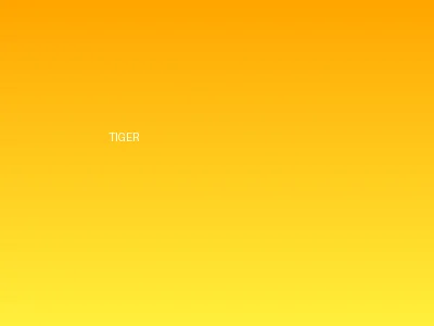 财神虎游戏画面